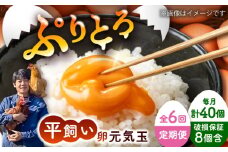 【全6回定期便】平飼い新鮮たまご 元気玉 計40個(10個×4パック) / 卵 ぷりぷり 新鮮 玉子 オムレツ たまごかけごはん 朝食 鶏卵 平飼い 濃厚 こく 熊本県 菊陽町【ぴよっこファーム】 [BHAP007]
