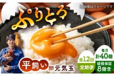 【全12回定期便】平飼い新鮮たまご 元気玉 計40個(10個×4パック) / 卵 ぷりぷり 新鮮 玉子 オムレツ たまごかけごはん 朝食 鶏卵 平飼い 濃厚 こく 熊本県 菊陽町【ぴよっこファーム】 [BHAP008]