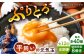定期便 卵 ぷりぷり 新鮮 玉子 オムレツ たまごかけごはん 朝食 鶏卵 タンパク質 平飼い 濃厚 こく 熊本県 菊陽町