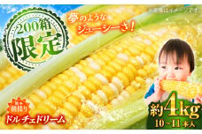 【5月下旬から順次発送】【限定数量】スイートコーン(ドルチェドリーム)約4kg / 高糖度 どるちぇどりーむ 糖度 コーンスープ 産地直送 甘さ コーン おやつ BBQ バター焼き 野菜 とうもろこし  糖度 菊陽町【なかむら農園】 [BHCJ002]
