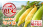 高糖度 どるちぇどりーむ 糖度 コーンスープ 甘さ コーン おやつ BBQ バター焼き 野菜 とうもろこし  糖度 菊陽町