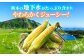 高糖度 どるちぇどりーむ 糖度 コーンスープ 甘さ コーン おやつ BBQ バター焼き 野菜 とうもろこし  糖度 菊陽町