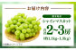 しゃいんますかっと 新鮮 種なし フルーツ 果物 ギフト 熊本県 菊陽町 旬 大きい 人気 皮ごと 旬 くだもの フルーツ
