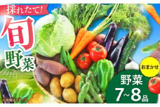【数量限定】旬の 野菜 セット (約3kg/野菜7-8品程度) / 新鮮 詰合せ やさい セット 旬 おまかせ にんじん ごぼう 直売所 やさい 野菜 3kg 3キロ サラダ 熊本県 特産品 菊陽町 【有限会社さんふれあ】 [BHAK023]