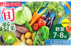 【全3回定期便】【数量限定】旬の 野菜 セット (約3kg/野菜7-8品程度) / 新鮮 詰合せ やさい セット 旬 おまかせ にんじん ごぼう 直売所 やさい 野菜 3kg 3キロ サラダ 熊本県 特産品 菊陽町 【有限会社さんふれあ】 [BHAK024]