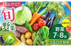 【全6回定期便】【数量限定】旬の 野菜 セット (約3kg/野菜7-8品程度) / 新鮮 詰合せ やさい セット 旬 おまかせ にんじん ごぼう 直売所 やさい 野菜 3kg 3キロ サラダ 熊本県 特産品 菊陽町 【有限会社さんふれあ】 [BHAK025]
