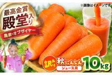 【先行予約】【2025年12月順次発送開始】ジュース用秋にんじん(訳あり) / にんじん ニンジン 規格外 ジュース β-カロテン 食物繊維 抗酸化作用 熊本県産 菊陽町 【株式会社 まゆみ農園】 [BHCW007]