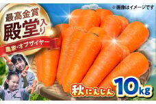 【先行予約】【2025年12月順次発送開始】秋にんじん10kg / にんじん ニンジン 野菜 β-カロテン ジュース用 食物繊維 抗酸化作用 臭み少ない 栄養満点 熊本県産 菊陽町【株式会社 まゆみ農園】[BHCW006]