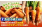にんじん ニンジン 野菜 β-カロテン 食物繊維 抗酸化作用 栄養満点 熊本県産 菊陽町 