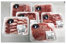 【全6回定期便】お楽しみ定期便おまかせセット(計約1kg)【有限会社コーシン】 [BHAH017]