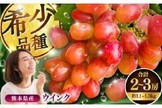 【限定数量】【10月下旬発送開始】ウインク 約1.1kg〜1.3kg 合計2〜3房【りとる農房】 [BHBO004]
