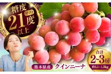 【限定数量】【8月下旬発送開始】 クインニーナ 約1.1kg〜1.3kg 合計2〜3房 / 糖度 21度 くいーんにーな 甘味 鮮やか あかブドウ ぶどう フルーツ 大粒【りとる農房】 [BHBO002]
