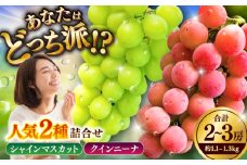 【限定数量】【8月下旬発送開始】シャインマスカット クインニーナ 詰め合わせ 約1.1kg〜1.3kg 合計2〜3房【りとる農房】 [BHBO003]