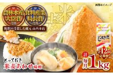 【全12回定期便】とっておき米麦あわせ 1kg / 味噌 みそ 菊陽町 発酵 食品 みそしる 国産 味噌汁 こめ むぎ みそ汁 あわせみそ 大豆 熊本県 調理 料理 おかず【株式会社山内本店】 [BHAE008]