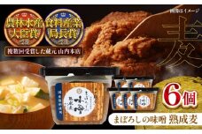 まぼろしの味噌 熟成麦 500g×6個セット【株式会社山内本店】 [BHAE020]