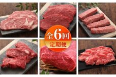 【全6回定期便】【数量限定】【GI認証】くまもとあか牛 食べ比べB / 菊陽町 あかうし 熊本県 肉 にく niku ブランド 旨み 【有限会社 三協畜産】 [BHAS027]