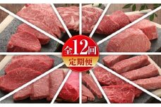 【全12回定期便】【数量限定】【GI認証】くまもとあか牛 食べ比べ / 菊陽町 あかうし 熊本県 肉 にく niku ブランド 旨み 【有限会社 三協畜産】 [BHAS032]
