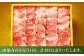 あかうし  カルビ  やきにく 焼きにく あか牛 赤牛 肉 にく niku ブランド 旨み 熊本県 菊陽町 定期便