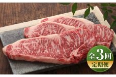 【全3回定期便】【数量限定】【GI認証】くまもとあか牛サーロインステーキ 約200g×3枚 / 菊陽町 あかうし 熊本県 肉 にく niku ブランド 旨み【有限会社 三協畜産】 [BHAS066]