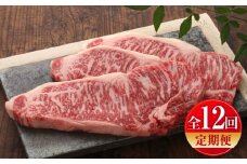 【全12回定期便】【数量限定】【GI認証】くまもとあか牛サーロインステーキ 約200g×3枚 / 菊陽町 あかうし 熊本県 肉 にく niku ブランド 旨み【有限会社 三協畜産】 [BHAS068]