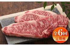 【全6回定期便】【数量限定】【GI認証】くまもとあか牛サーロインステーキ 約200g×3枚 / 菊陽町 あかうし 熊本県 肉 にく niku ブランド 旨み【有限会社 三協畜産】[BHAS067]