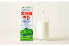 【全6回定期便】大阿蘇 牛乳 1000ml 紙パック(6本入) / 阿蘇 熊本 乳牛 生乳 牛乳 ミルク 無調整 自然 らくのう【合同会社 たべたせいか】 [BHBY025]