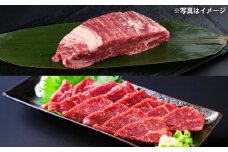 あか牛 ステーキ用ヒレ肉(約800g)、馬刺し(約200g)セット 計約1kg / 牛肉 馬肉 食べ比べ　【合同会社 たべたせいか】[BHBY006]