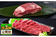 【全3回定期便】 あか牛 ステーキ用ヒレ肉(約800g)、馬刺し(約200g)セット 計約1kg / 牛肉 馬肉 食べ比べ　【合同会社 たべたせいか】 [BHBY017]
