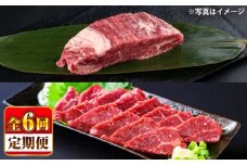 【全6回定期便】 あか牛 ステーキ用ヒレ肉(約800g)、馬刺し(約200g)セット 計約1kg / 牛肉 馬肉 食べ比べ　【合同会社 たべたせいか】 [BHBY018]
