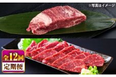 【全12回定期便】 あか牛 ステーキ用ヒレ肉(約800g)、馬刺し(約200g)セット 計約1kg / 牛肉 馬肉 食べ比べ　【合同会社 たべたせいか】 [BHBY019]