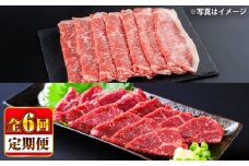 【全6回定期便】あか牛 すき焼き・しゃぶしゃぶ用 サーロイン肉(約1kg)、馬刺し(約200g)計約1.2kg【合同会社 たべたせいか】 [BHBY021]