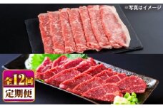 【全12回定期便】あか牛 すき焼き・しゃぶしゃぶ用 サーロイン肉(約1kg)、馬刺し(約200g)計約1.2kg【合同会社 たべたせいか】 [BHBY022]