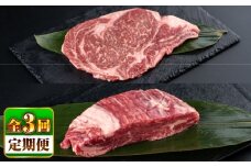 【全3回定期便】熊本県産 あか牛 ステーキ用ヒレ肉(約600g)、ロース肉(約800g) 計約1.4kg / 牛肉 国産 セット 食べ比べ【合同会社 たべたせいか】 [BHBY029]