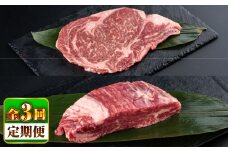 【全3回定期便】熊本県産 あか牛 ステーキ用ヒレ肉(約600g)、ロース肉(約800g) 計約1.4kg / 牛肉 国産 セット 食べ比べ【合同会社 たべたせいか】[BHBY029]