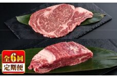 【全6回定期便】熊本県産 あか牛 ステーキ用ヒレ肉(約600g)、ロース肉(約800g) 計約1.4kg / 牛肉 国産 セット 食べ比べ【合同会社 たべたせいか】 [BHBY030]