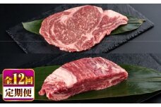 【全12回定期便】熊本県産 あか牛 ステーキ用ヒレ肉(約600g)、ロース肉(約800g) 計約1.4kg / 牛肉 国産 セット 食べ比べ【合同会社 たべたせいか】 [BHBY031]