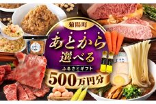 【あとから選べる】菊陽町ふるさとギフト 500万円分 [BHZY015]