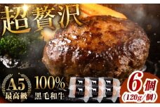 黒毛和牛 ハンバーグ 6個 (120g×1個入×6パック) 【株式会社中野畜産】 [BHAQ001]