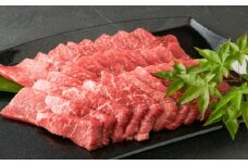 肥後の赤牛 焼肉用 約500g / 牛肉 赤牛 焼き肉 やきにく 冷凍 熊本県 菊陽町【菊陽町(阿蘇牧場)】 [BHAZ001]