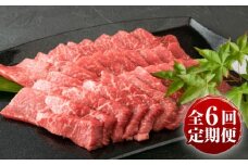 【全6回定期便】肥後の赤牛 焼肉用 約500g 計約3kg / 冷凍 にく 肉 くまもと 熊本 菊陽 BBQ ビーフ ごはん【菊陽町(阿蘇牧場)】 [BHAZ004]