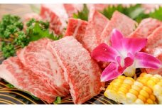 GI認証 くまもとあか牛 焼肉 約500g / 霜降り 高品質 あか牛 牛肉 熊本県 菊陽町【菊陽町(阿蘇牧場)】 [BHAZ024]