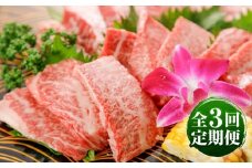 【全3回定期便】GI認証 くまもとあか牛 焼肉 約500g 計約1.5kg / 霜降り 高品質 あか牛 牛肉 熊本県 菊陽町【菊陽町(阿蘇牧場)】 [BHAZ026]
