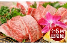 【全6回定期便】GI認証 くまもとあか牛 焼肉 約500g 計約3kg / 霜降り 高品質 あか牛 牛肉 熊本県 菊陽町【菊陽町(阿蘇牧場)】 [BHAZ027]