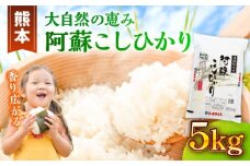 【令和7年産】熊本県産 阿蘇コシヒカリ 5kg【熊本パールライス株式会社】 [BHBP001]