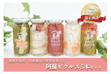毎年大人気！阿蘇ピクルス5本セット  阿蘇ピクルス 5本 セット 5種 140g ピクルス 詰め合わせ ピーマン パプリカ 里芋 きゅうり 胡瓜 アイコトマト 大根 ギフト 贈答用 熊本 阿蘇 南小国町 送料無料