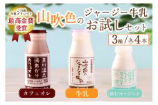 黒川温泉発 山吹色のジャージー牛乳 お試しセット 【FOODEX JAPAN 2017 最高金賞受賞】 3種 12本 ジャージー牛乳 飲むヨーグルト 牛乳 200ml 150ml カフェオレ コーヒー牛乳 詰め合わせ アソート セット 乳製品 飲料 健康 腸活 免疫力アップ 乳酸菌 ご当地牛乳グランプリ 最高金賞 ご当地 ギフト 贈答用 山のいぶき 熊本 阿蘇 南小国町 送料無料
