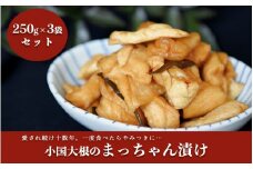 地元で愛され続けて10年以上！まっちゃん漬けセット 3袋 250g まっちゃん漬け セット 小国大根 漬け物 漬物 大根 ごはんのお供 ギフト 贈答用 熊本 阿蘇 南小国町 送料無料