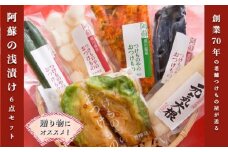 【黒川温泉発】阿蘇の浅漬け 6点セット  浅漬け 6点 セット 大根 きゅうり 茄子 ナス 長芋 グリーンボール キャベツ 白菜キムチ 漬物 キムチ 詰め合わせ 野菜 お取り寄せ ギフト 贈答用 黒川温泉 九州 熊本 阿蘇 南小国町 送料無料