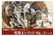 【熊本県・南小国産】うまみ＆栄養が自慢♪の乾燥まいたけ40g×3セット 南小国産 乾燥まいたけ 40g 3パック きのこ 乾燥 乾燥きのこ 乾燥野菜 国産 栄養 お取り寄せ 熊本 阿蘇 南小国町 送料無料