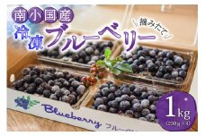 農薬・化学肥料不使用 摘み立て冷凍ブルーベリー１kg 南小国産 冷凍 ブルーベリー 1kg 摘み立て 生 果物 新鮮 フレッシュ 小分け 農薬不使用 化学肥料不使用 産地直送 熊本 阿蘇 南小国町 送料無料